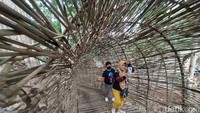 Spot foto yang ada di wisata Kampung Teratai itu mulai dari sepeda bunga, payung geulis, rumah hobbit, lorong bambu, ayunan Ora umum, dan masih banyak yang lainnya kini masih dalam tahap penataan.