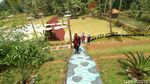 Kampung Teratai yang Indah di Ciamis