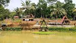 Kampung Teratai yang Indah di Ciamis