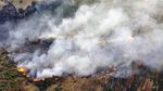 3 Orang Tewas Imbas Kebakaran Hutan di Perbatasan Lebanon