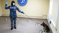 Pusat pelatihan anjiing pendeteksi virus Corona itu pun diketahui berada di kawasan Bandara Sheremetyevo, di luar Moskow, Rusia.
