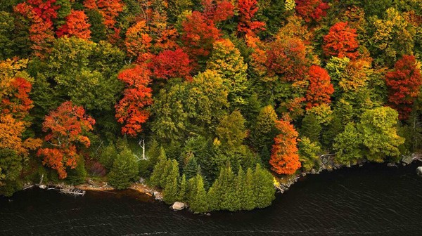 Taman Adirondack, New York, menjadi sangat diminati wisatawan saat musim gugur tiba di Amerika Serikat.
