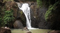 Meski tidak direkomendasikan untuk dilakukan, para pengunjung tetap nekat melompat dari atas air terjun ke kolam di bawahnya. Air segar yang langsung terasa begitu terciprat ke tubuh memang jadi sensasi tersendiri. (Syahdan Alamsyah/detikcom)