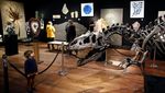 Fantastis! Kerangka Dinosaurus Ini Dilelang Jutaan Euro