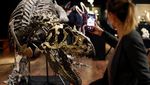 Fantastis! Kerangka Dinosaurus Ini Dilelang Jutaan Euro
