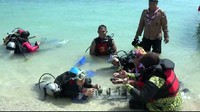 Untuk melestarikan terumbu karang di Pulau Gili Ketapang Probolinggo, setiap wisatawan wajib menanam 1 terumbu karang saat menyelam, kata Hadi Nugroho, operator penyelam, sekaligus Ketua Komunitas Marina Coral Dive. (M Rofiq/detikcom)