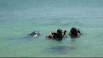 Foto: Menanam Terumbu Karang di Gili Ketapang