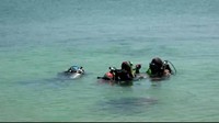 Selain keaktifan para traveler, perlu kesadaran juga dari masyarakat dan pengunjung untuk tidak buang sampah ke laut, soalnya biota laut seperti ikan Nemo dan macam macam ikan jenis banyak di bawah lautnya sensitif terhadap sampah. (M Rofiq/detikcom)