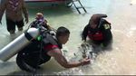 Foto: Menanam Terumbu Karang di Gili Ketapang