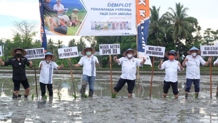 Pupuk Kaltim