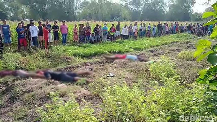 Begini TKP Satu Keluarga yang Tewas Tersetrum Jebakan Tikus Satu keluarga di Bojonegoro tewas tersetrum jebakan tikus listrik. Berikut foto-foto lokasi TKP yang berada di persawahan.