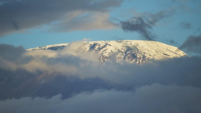 The snow covered peak of Mt. Kilimanjaro is seen from the Amboseli National Park June 21, 2018. - Amboseli is among the most renowned case studies in the world for elephant population and behavioural factors with the last official count of the perchyderms, carried out in the year 2011, yielding some 1200 animals. Preparations are underway for an Elephant aerial census over the 392 square-kilometre park with trial runs kicking off in June. (Photo by TONY KARUMBA / AFP)