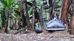 Korban Kebakaran Kampung Adat Cengkuk Tinggal di Tenda Darurat
