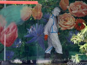 Dokter Ungkap Penampakan Paru Pasien COVID-19 RI dan 3 Gejala yang Dikeluhkan