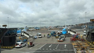 Tikus Berkeliaran di Kabin, Penerbangan KLM dari Amsterdam ke Karibia Dibatalkan