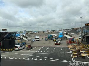 Tikus Berkeliaran di Kabin, Penerbangan KLM dari Amsterdam ke Karibia Dibatalkan