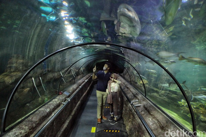 Gubernur DKI Jakarta Anies Baswedan menerapkan PSBB transisi. Tempat wisata pun dibuka kembali, salah satunya Sea World Ancol.