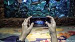 Asiik! PSBB Transisi Berlaku, Sea World Ancol Kembali Dibuka