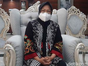 Tiga Pendapat Pakar soal Isu Risma Jadi Mensos