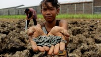 Warga mencari uang koin kuno yang tersebar di areal persawahan milik warga di Dusun Mojounggul, Kecamatan Bareng, Kabupaten Jombang, Senin (12/10/2020). 
