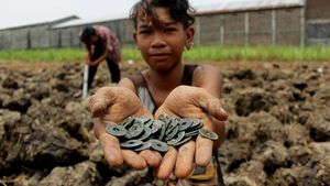 Warga Jombang Ramai-ramai Berburu Koin Kuno