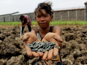 Warga Jombang Ramai-ramai Berburu Koin Kuno