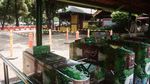 Bonbin Ragunan Kembali Buka, Kita Lihat Yuk