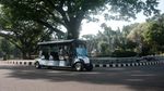 Bonbin Ragunan Kembali Buka, Kita Lihat Yuk