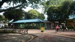 Bonbin Ragunan Kembali Buka, Kita Lihat Yuk