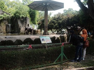 Kata Pemprov soal Tingkat Kepatuhan Prokes di Tempat Wisata Jakarta Terendah