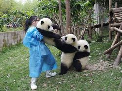 Potret Persahabatan Hewan Beda Spesies yang Menggemaskan