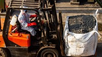 Area Plant juga dilengkapi fasilitas pendukung berupa Tempat Penyimpanan Sementara (TPS) berdaya tampung maksimal 150 ton dan Cold Storage dengan suhu sekitar nol derajat hingga empat derajat celsius yang berdaya tampung maksimal 30 ton.  