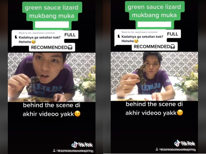 Netizen Ini Mukbang Kadal, Apa Aman Dikonsumsi?