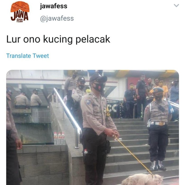 Viral polisi bawa kucing pelacak saat amankan demo di Magelang, Jumat (9/10/2020).