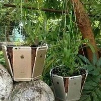 Bukan sembarang pot yang hanya terbuat dari tanah liat atau plastik, pot yang satu ini benar-benar mewah. Pot tanaman ini terbuat dari iPhone loh.. kira-kira berapa harganya ya? Foto: 1cak.com