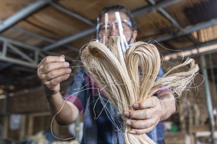 Kerajinan Serat Pohon Pisang Jadi Produk Ekspor Djunaedi (71) pemilik CV Natural menunjukkan serat pohon pisang (abaca fiber) yang belum dipintal menjadi benang di bengkel anyam miliknya.