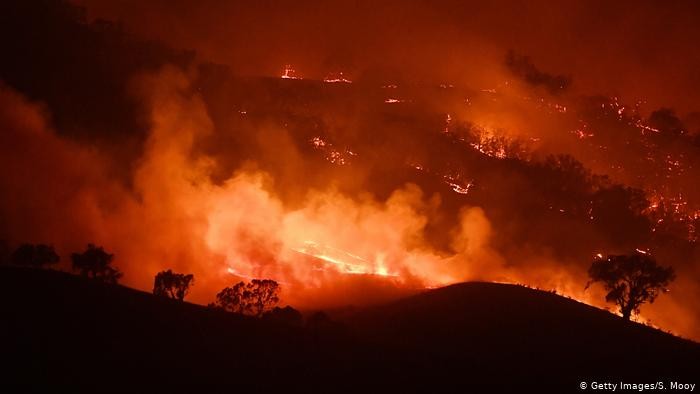 Kebakaran hutan di Australia, Januari 2020
