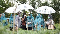 Untuk itu, Sofha meminta kepada seluruh jajaran PKK Kepri agar program pokok ini dapat terus berjalan dengan baik, dengan berkolaborasi dengan pihak terkait lainnya.