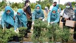 Pemenuhan Pangan dan Ekonomi lewat Berkebun