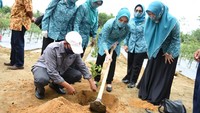 Disamping itu, Sofha juga meninjau pembibitan tumbuhan hidroponik dikawasan UPT Balai Benih Induk Pertanian. Yang dikemas dalam ruangan sebagai percontohan untuk pengembangan dimasyarakat nantinya.