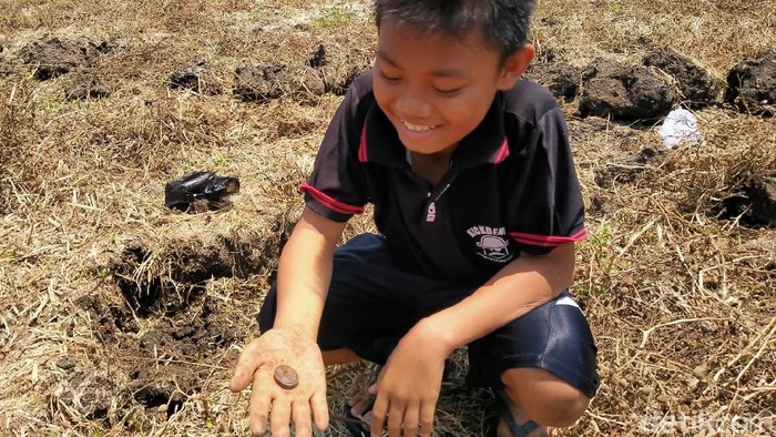 Perburuan Koin Kuno di Sawah Jombang Dihentikan, Ini Alasannya