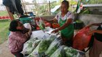 Sayur Organik Kian Populer