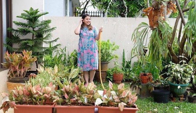 Ikut tren hobi koleksi tanaman hias, Tya Ariestya sampai bikin taman baru. Tanaman aglonema terlihat cukup ramai menghiasi halaman depan rumah ibu satu anak tersebut. Foto: Instagram