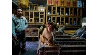 Seekor kera kecil yang dirantai ini berlokasi di pasar burung Bali setelah diambil dari alam liar untuk dijual sebagai hewan peliharaan. Paul Hilton berhasil memenangkan penghargaan kisah jurnalis foto satwa liar untuk potret ini. (Paul Hilton/Wildlife Photographer of The Year)