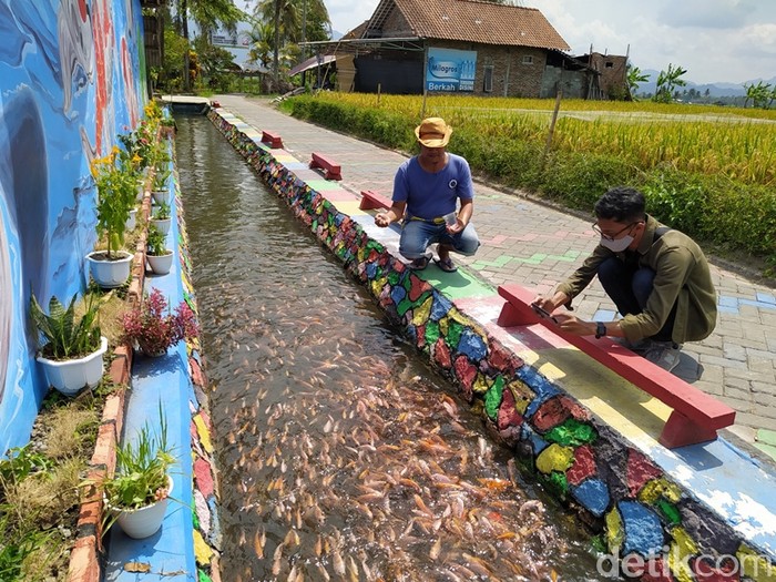 Wisata edukasi budidaya ikan di Magelang