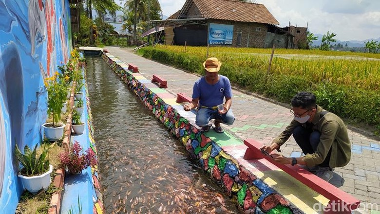 Wisata edukasi budidaya ikan di Magelang