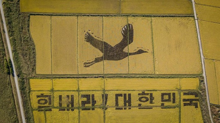 Bangau raksasa di Suncheon, Korsel