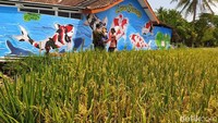 Tembok rumah warga yang berada di atas saluran air juga dilukisi mural ikan koi.