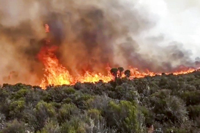 In this image made from video, rangers and volunteers help to put out fires on Mount Kilimanjaro in Tanzania on Monday, Oct. 12, 2020. Tanzanian authorities say 500 volunteers have been trying to put out a fire on Africas tallest peak, Mt. Kilimanjaro. (AP Photo)