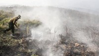 Kebakaran hutan di Gunung Kilimanjaro ini berawal dari kawasan Whona, pos peristirahatan para pendaki yang menggunakan jalur Mandara dan Horombo untuk menuju ke puncak Kilimanjaro.  